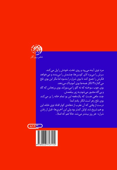 یکی در آینه